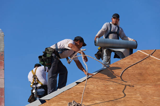 Best Roof Waterproofing Services  in Marshall, MI